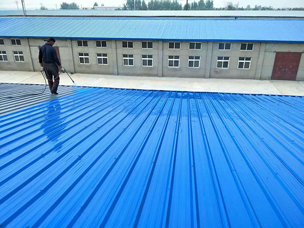 信丰 彩钢瓦喷漆翻新工业厂房、仓库